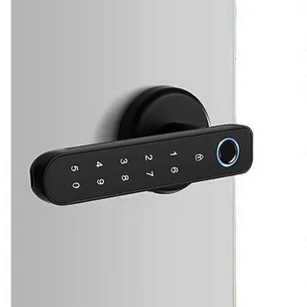 AccessPro ACCESS100-BT