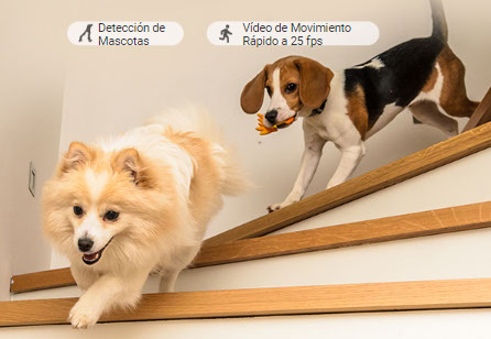 Zoom automático y seguimiento